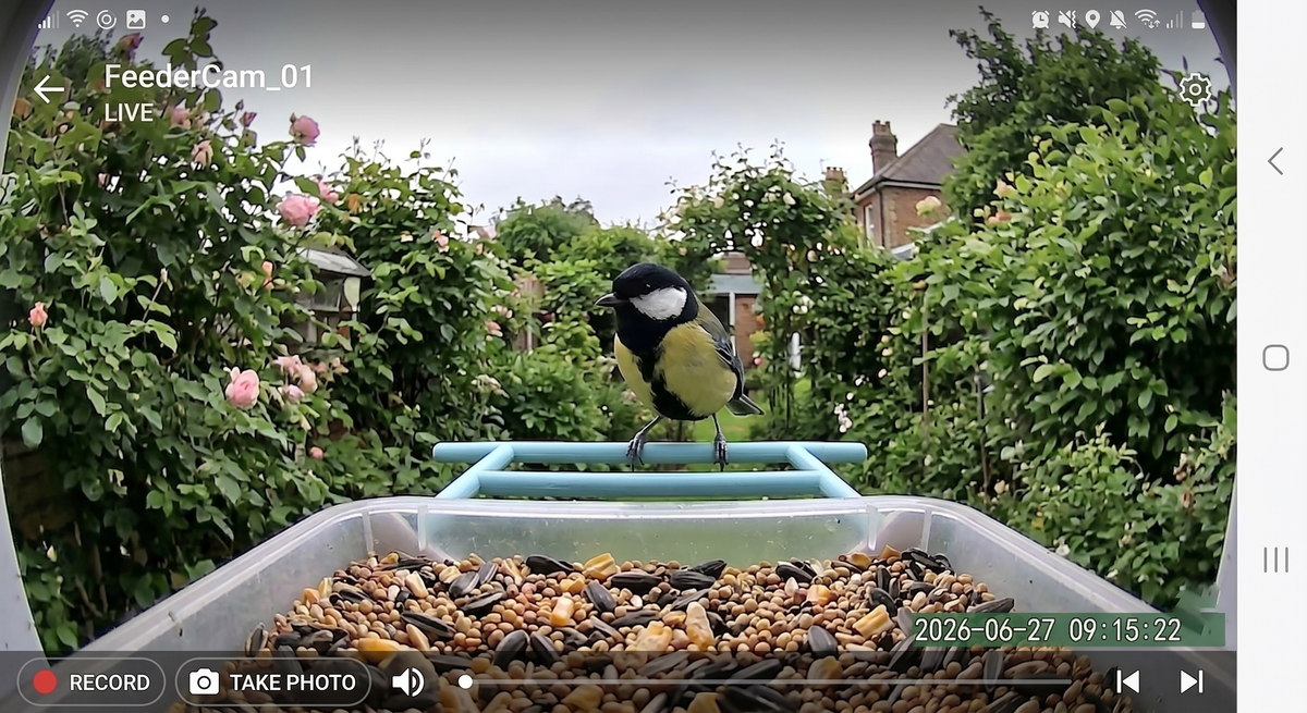Aviora Solar Bird Feeder Camera